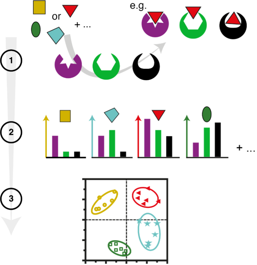Sensing Rotello Research Group
