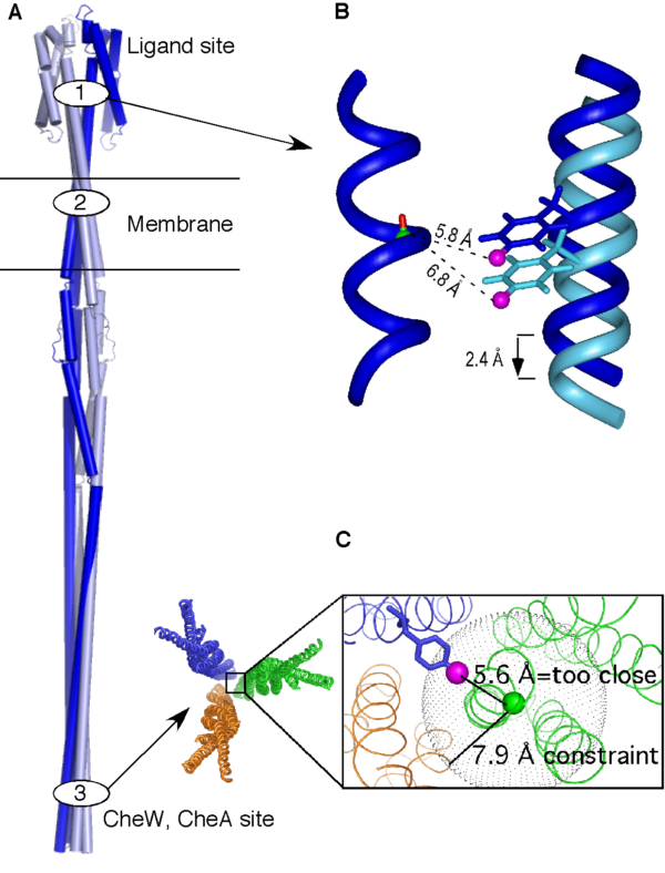 Solid-State NMR Of Membrane Proteins: Moving Towards Greater Complexity ...