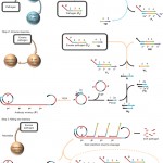 nchem.2325-f1