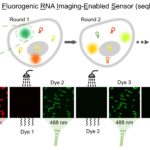 Graphical Abstract-2